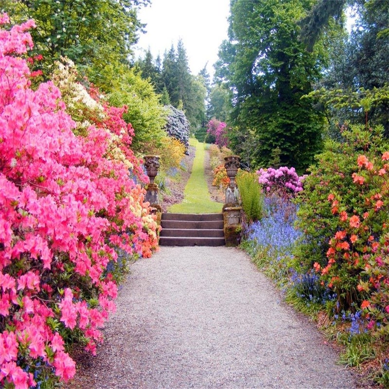 AOFOTO 8x8ft Beautiful Spring Blossom Flower Photography Backdrop Garden Landscape Background Outdoor Vintage Park Manor Scenery Wedding Photo Studio Props Woman Lady Girl Artistic Portrait Wallpaper - Image 1